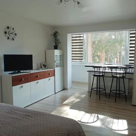 Light One Room Apartment فيزاغيناس المظهر الخارجي الصورة