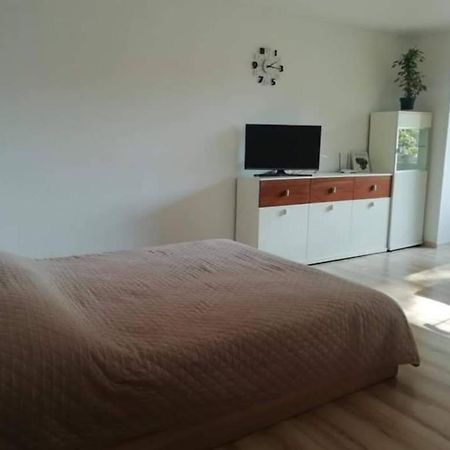 Light One Room Apartment فيزاغيناس المظهر الخارجي الصورة