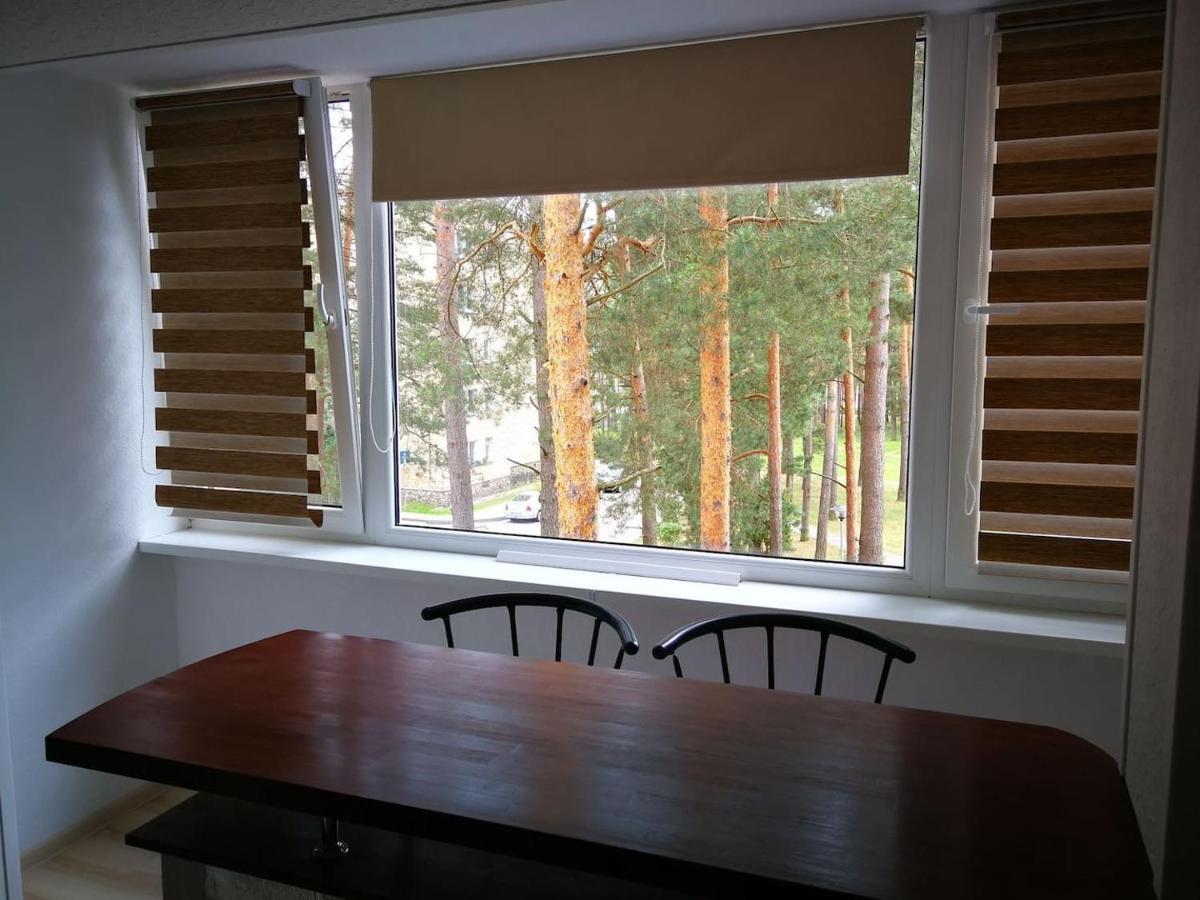 Light One Room Apartment فيزاغيناس المظهر الخارجي الصورة