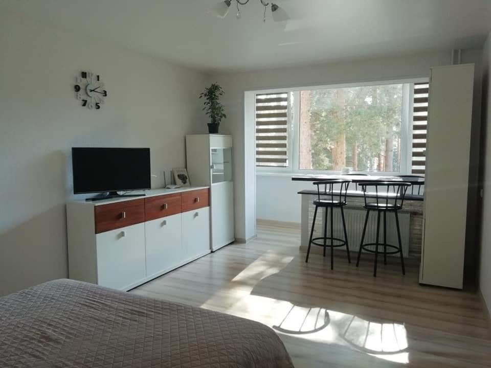 Light One Room Apartment فيزاغيناس المظهر الخارجي الصورة