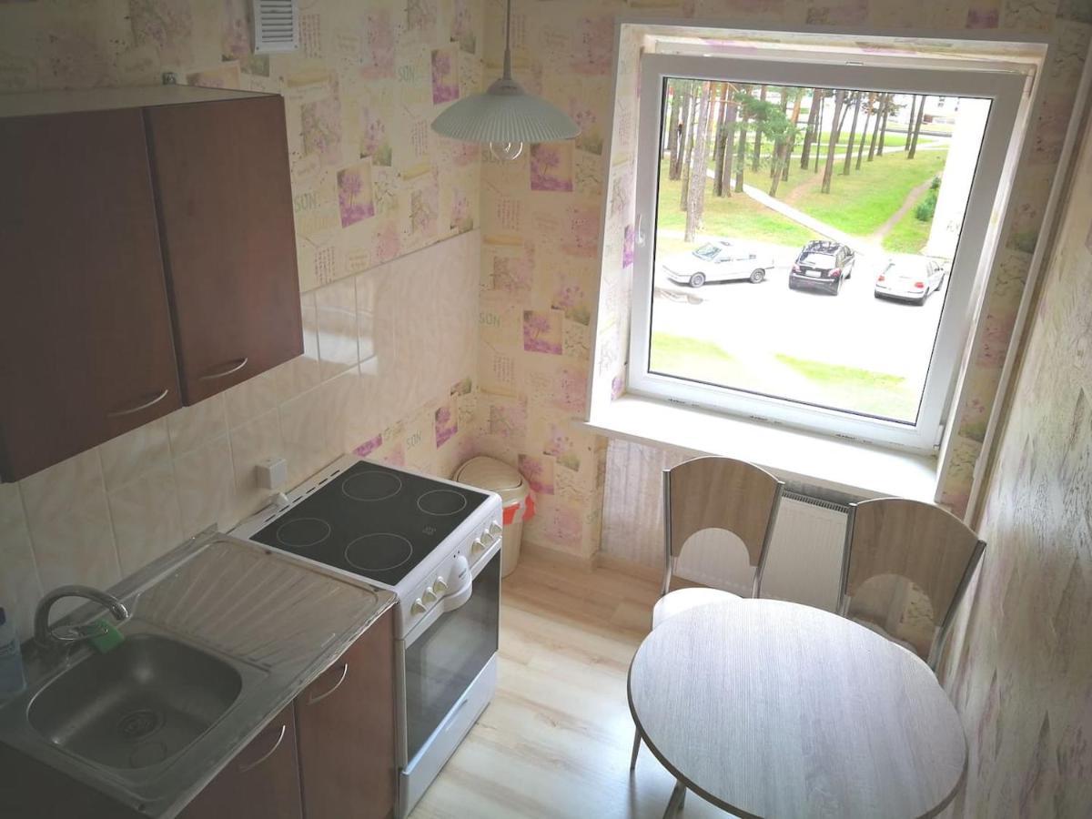 Light One Room Apartment فيزاغيناس المظهر الخارجي الصورة