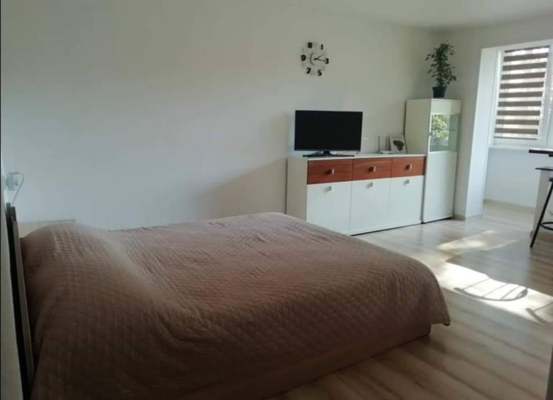 Light One Room Apartment فيزاغيناس المظهر الخارجي الصورة