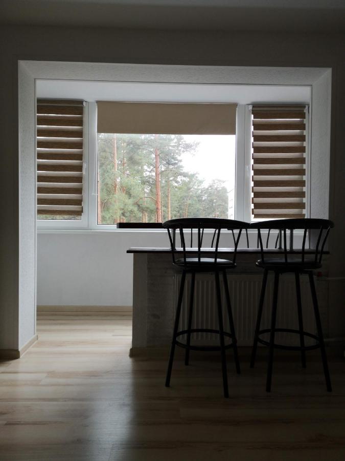 Light One Room Apartment فيزاغيناس المظهر الخارجي الصورة